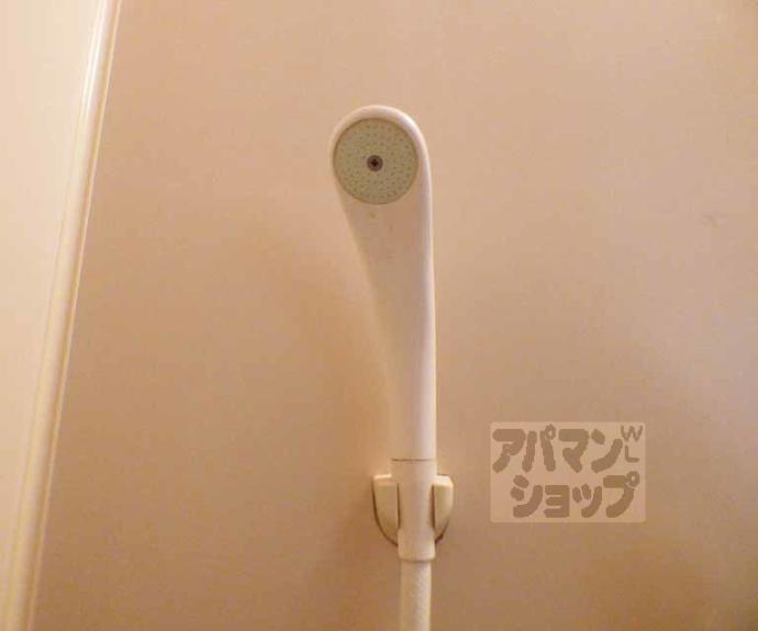 【ラフィーネ森】間取