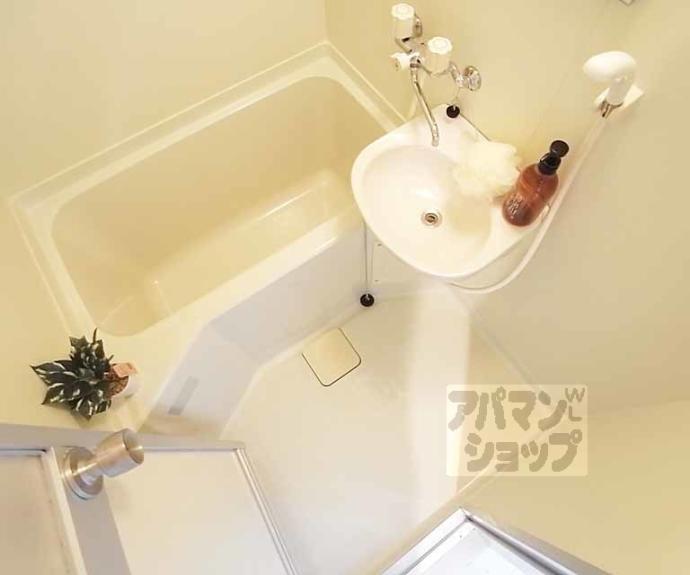 【カワモトマンション】間取