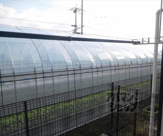 【川村ハイツ】間取