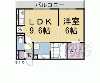 【メゾンシュシュ】