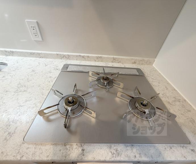 【ブランズ御池西洞院】間取