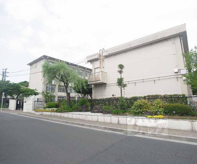 【井山ハイツ】間取