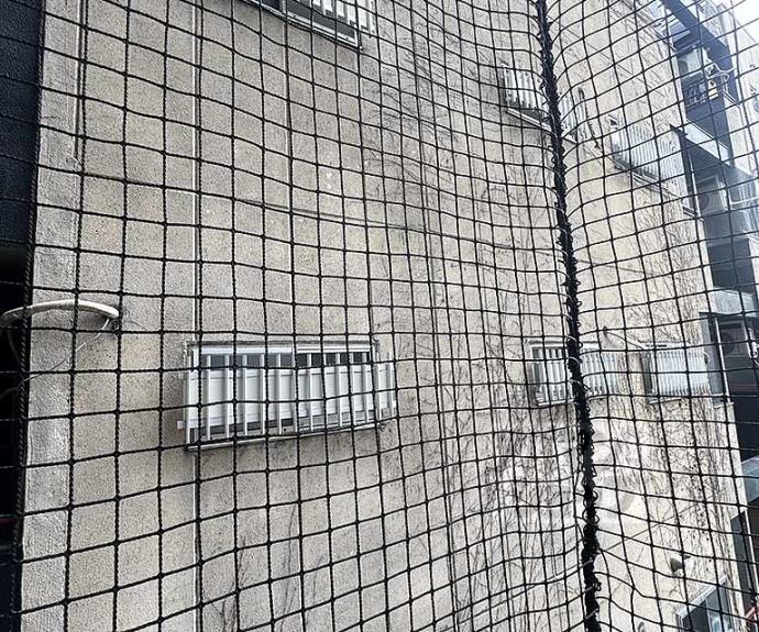 【コスモリード京都今出川】間取