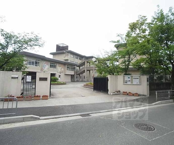 【大枝南福西町３丁目貸家】間取