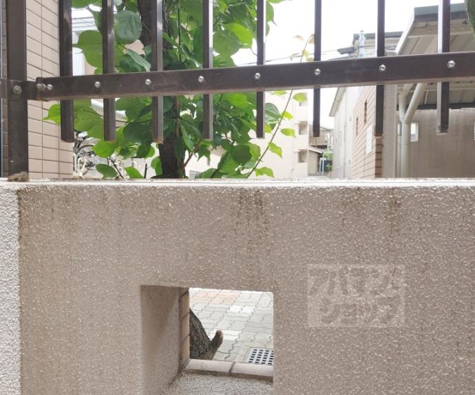 【リーガル京都桃山】間取