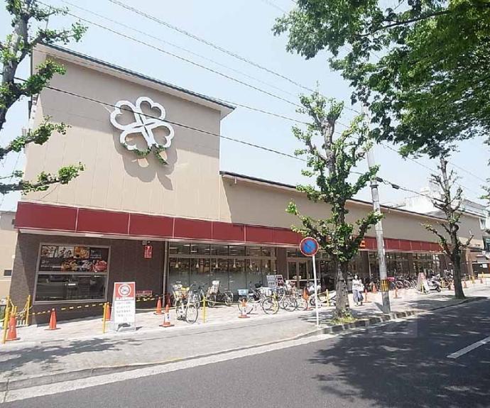 【一乗寺染殿町４６貸家】間取