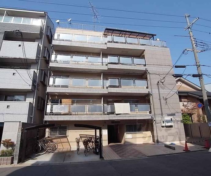 【メゾン・PiPi】間取