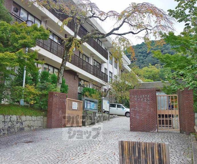 【ロイヤルセンタービルコバヤシ】間取