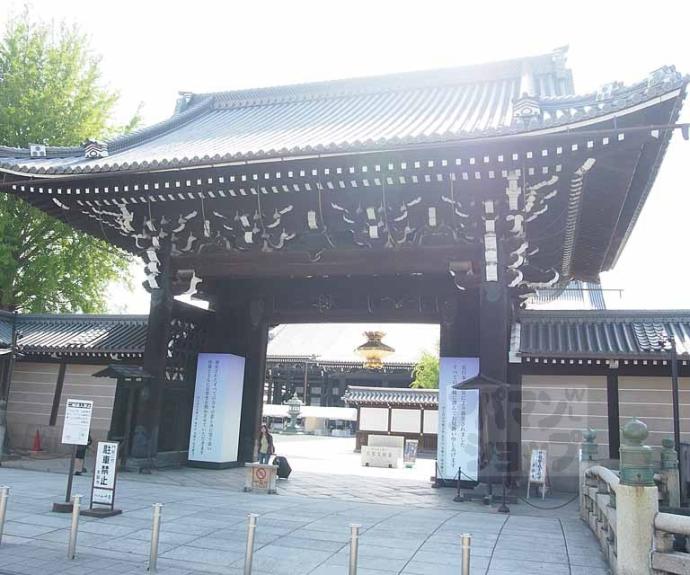 【アンビエント京都駅前】間取