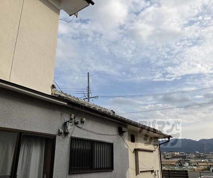 【フローラル柏原】間取