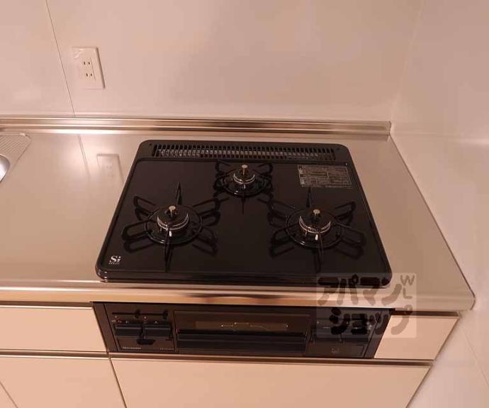 【エルマージュ安朱】間取