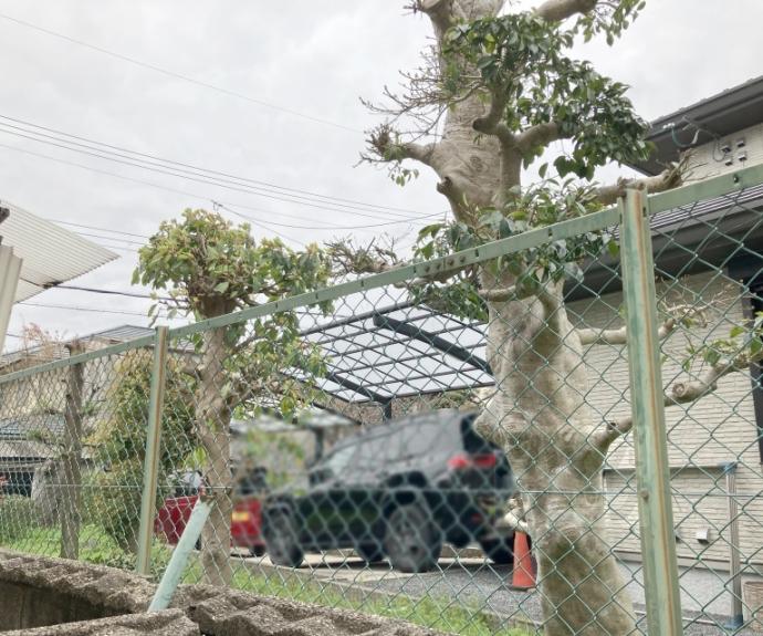 【円明寺下金蔵テラスハウス】間取