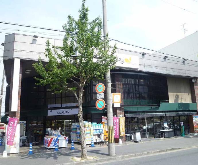 【プレサンス京都洛南】間取