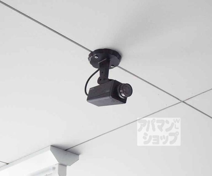 【ブルックスドム】間取