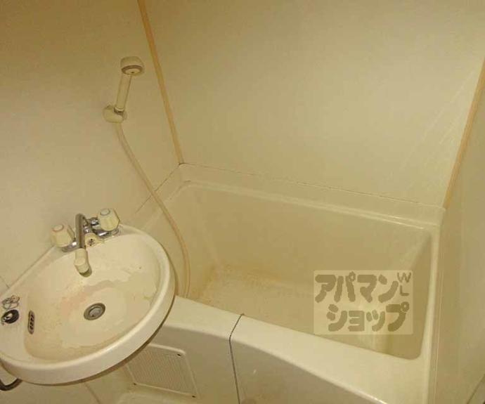 【コスモルイⅢ】間取