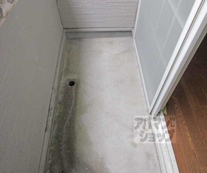 【コスモルイⅢ】間取