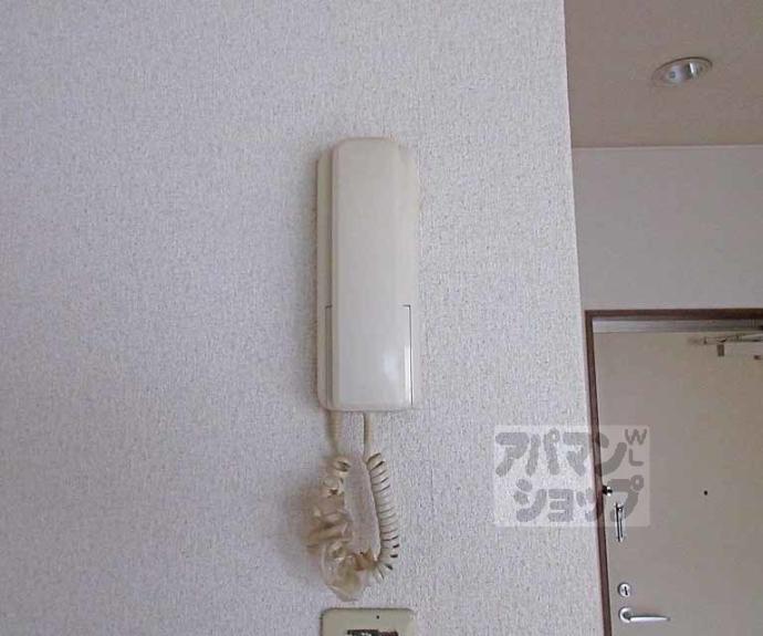 【コスモルイⅢ】間取