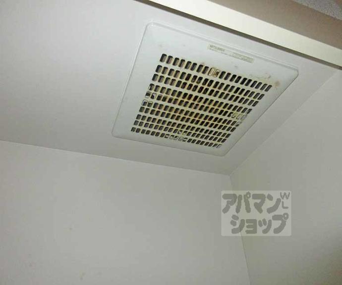 【コスモルイⅢ】間取