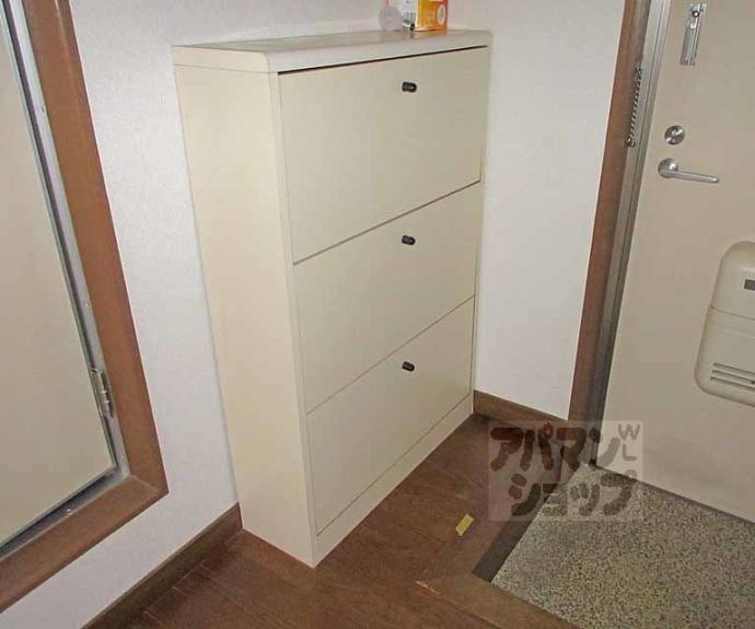 【コスモルイⅢ】間取