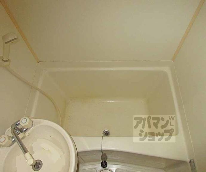 【コスモルイⅢ】間取