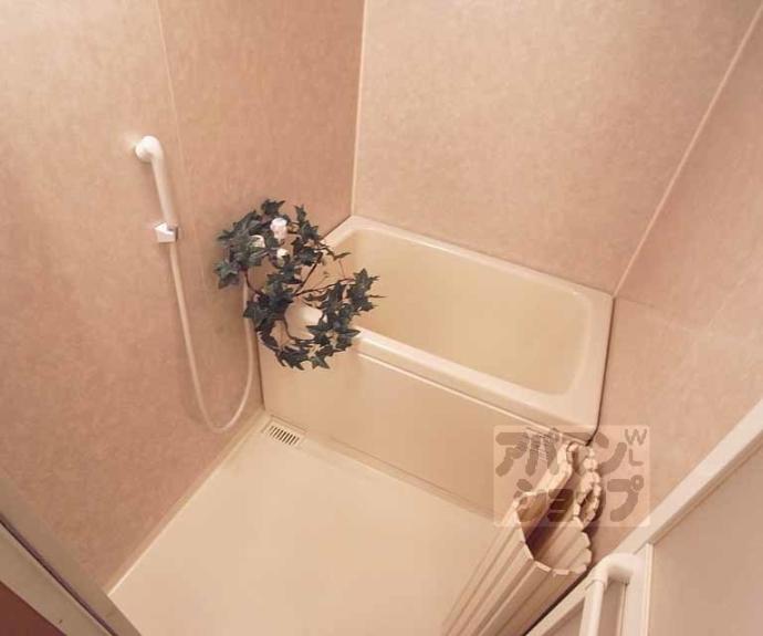 【コーポラス伏見】間取