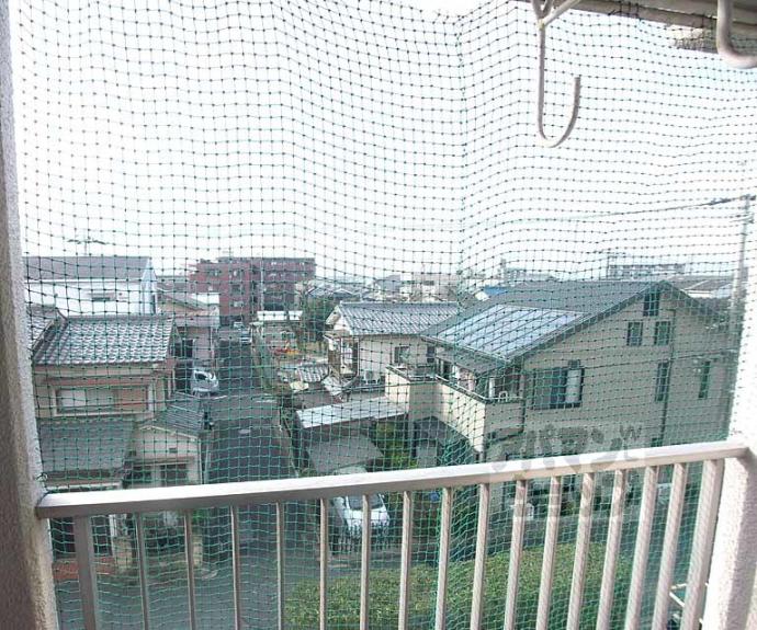 【コーポラス伏見】間取