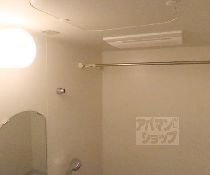 【ソルテラス京都西大路 郁】間取