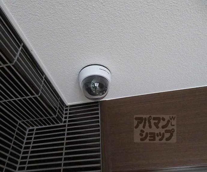 【ソルテラス京都西大路 郁】間取