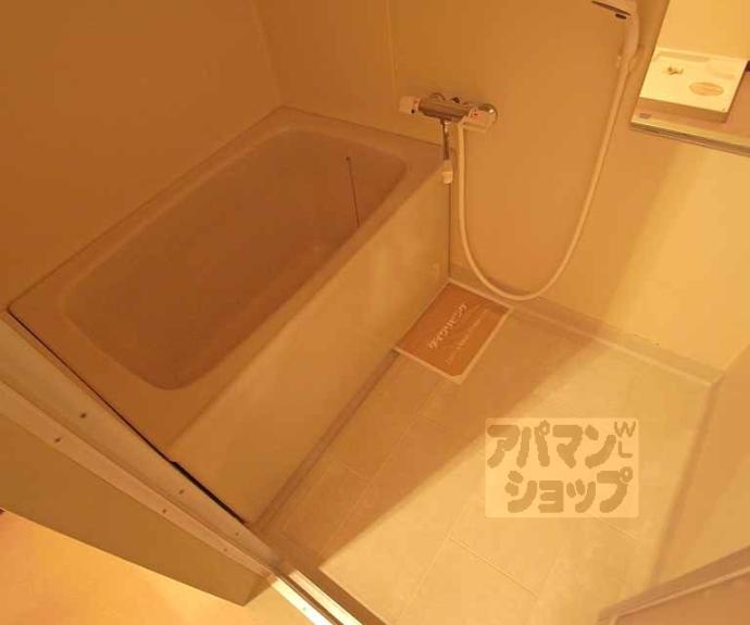 【メゾンフェニックス】間取