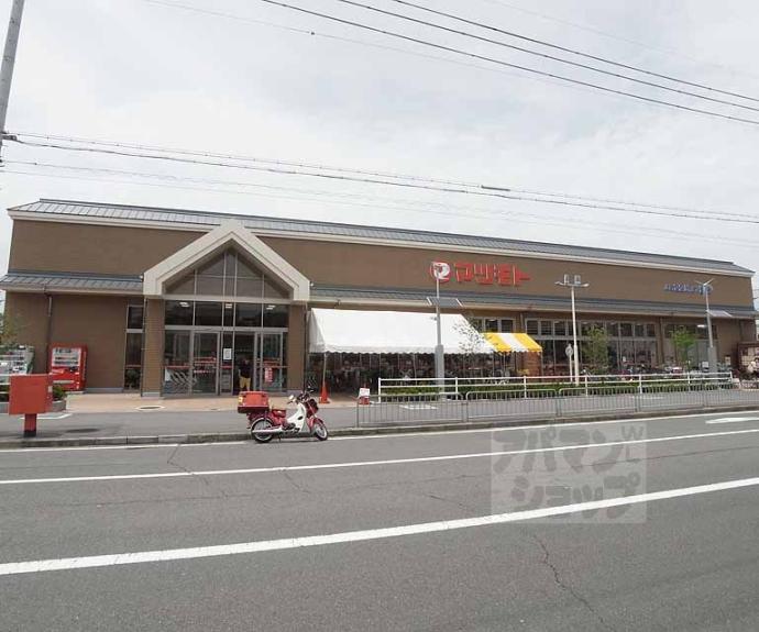 【桂市ノ前町貸家】間取