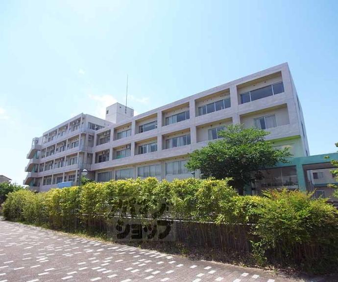 【羽束師菱川町559-39貸家】間取