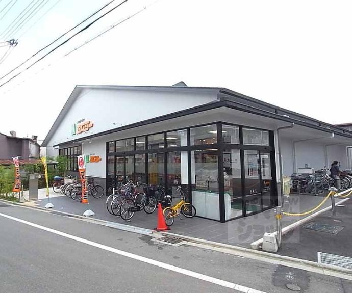 【紫野東舟岡町アパート】間取