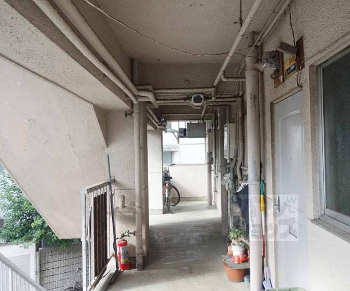 【光マンション】間取