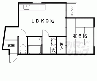 【サンフラワー醍醐】