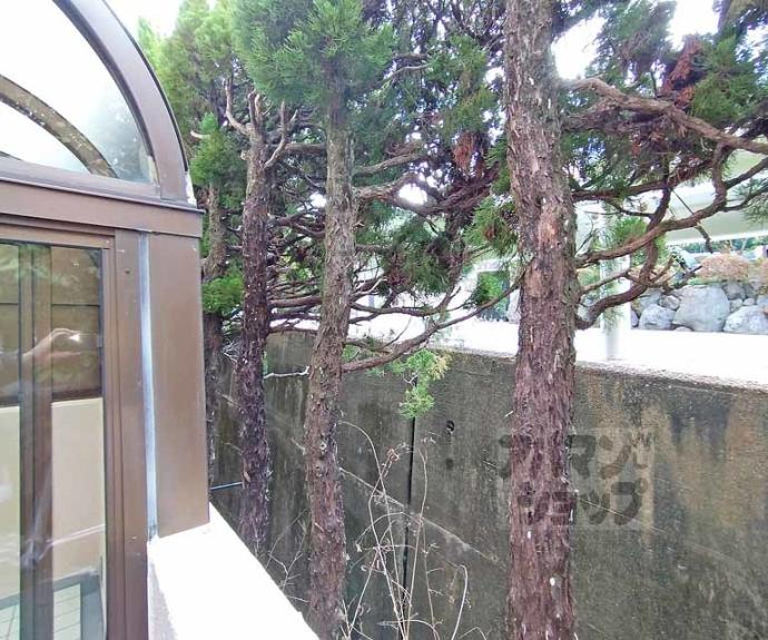 【シャルム醍醐】間取