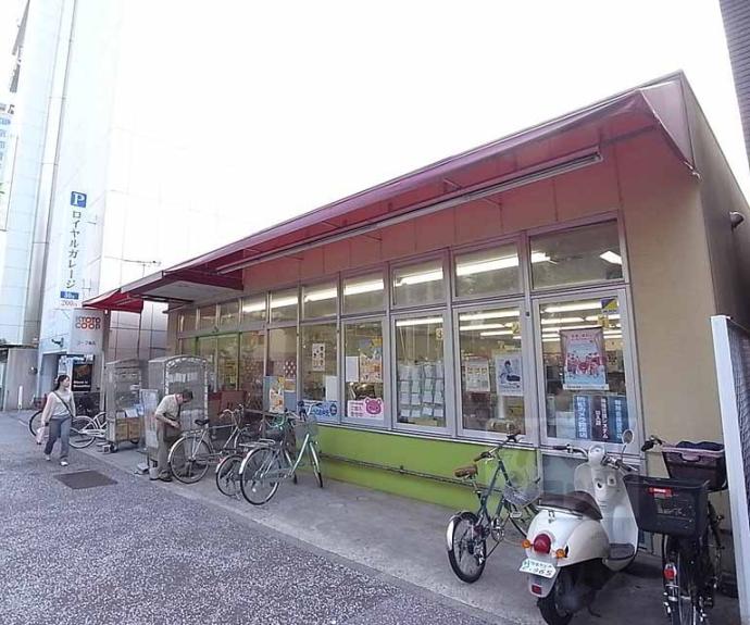 【イーグルコート御所南 衣棚別邸】間取