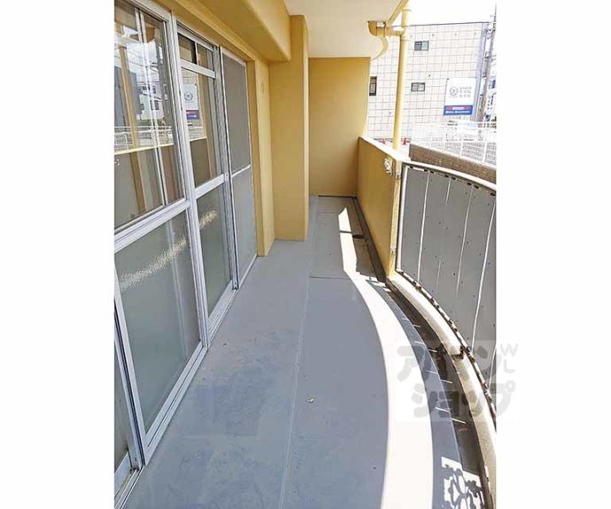 【ザ・メドゥズ】間取