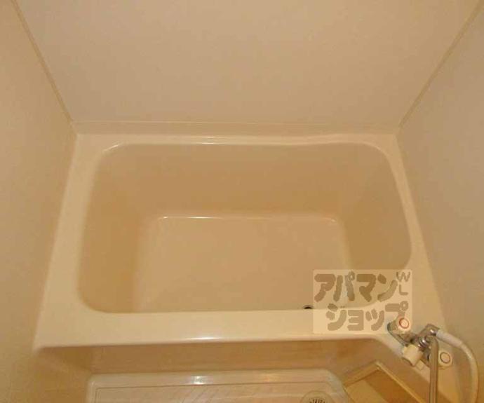 【コスモス】間取