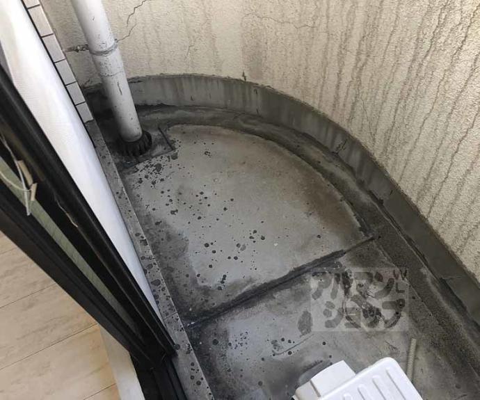 【メゾンブランシュ】間取