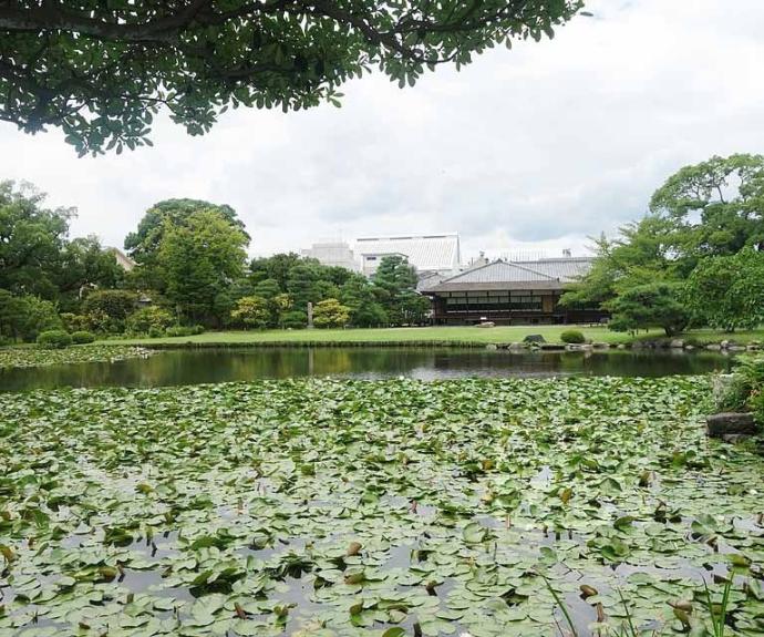 【ベラジオ京都駅東】間取