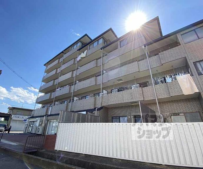 【エクセリィ桂】間取