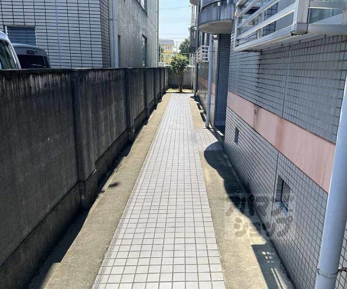 【エクセルコート桂】間取