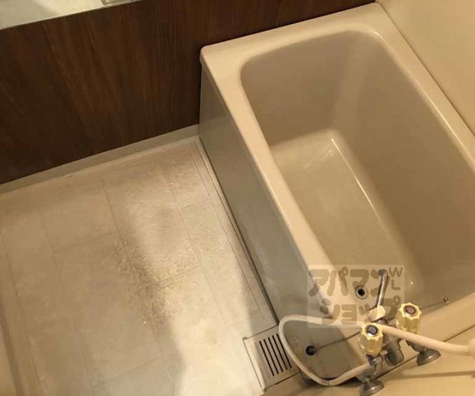 【メイプルリーフ桂】間取