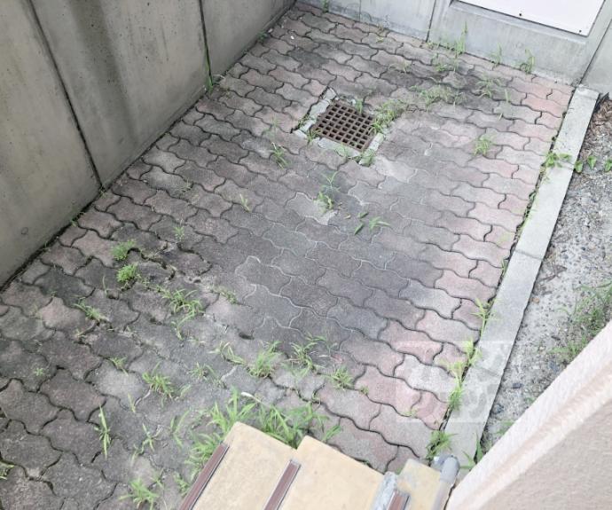 【エルフィン井上】間取