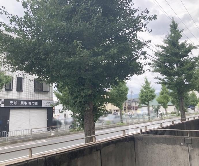 【エルフィン井上】間取