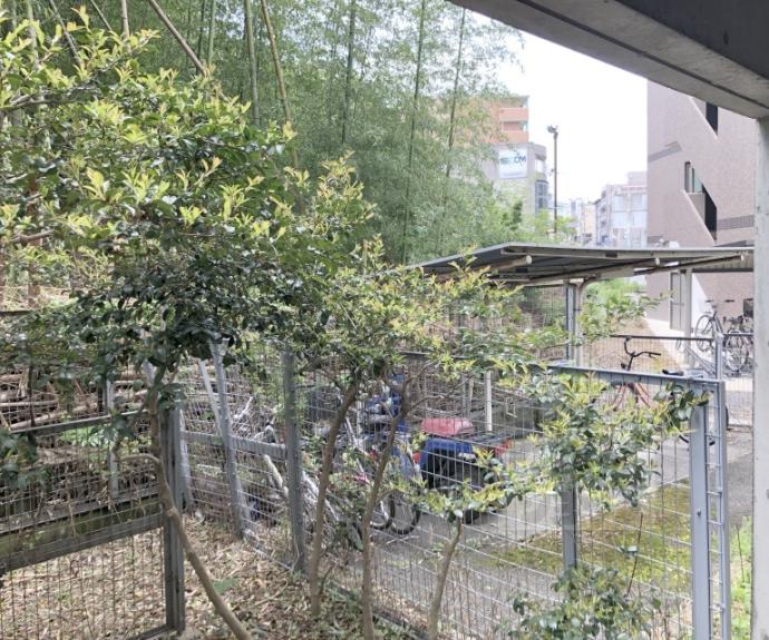 【エレスパ２４】間取