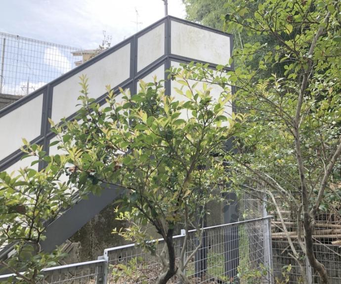 【エレスパ２４】間取