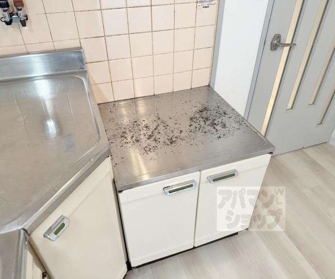 【エントピア桂】間取