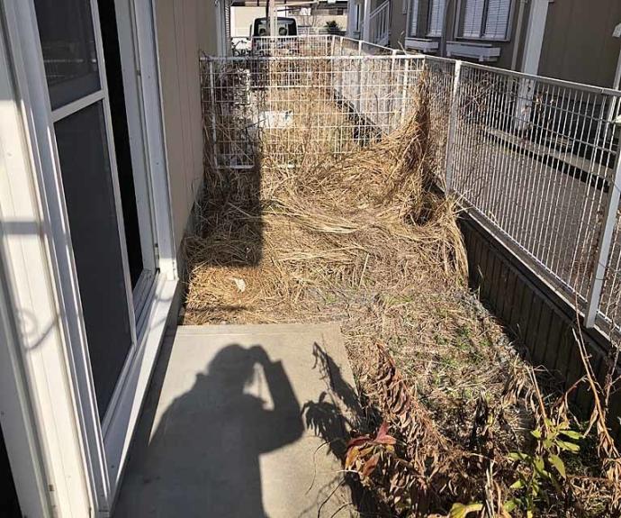 【フレグランス桂】間取