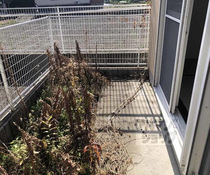 【フレグランス桂】間取